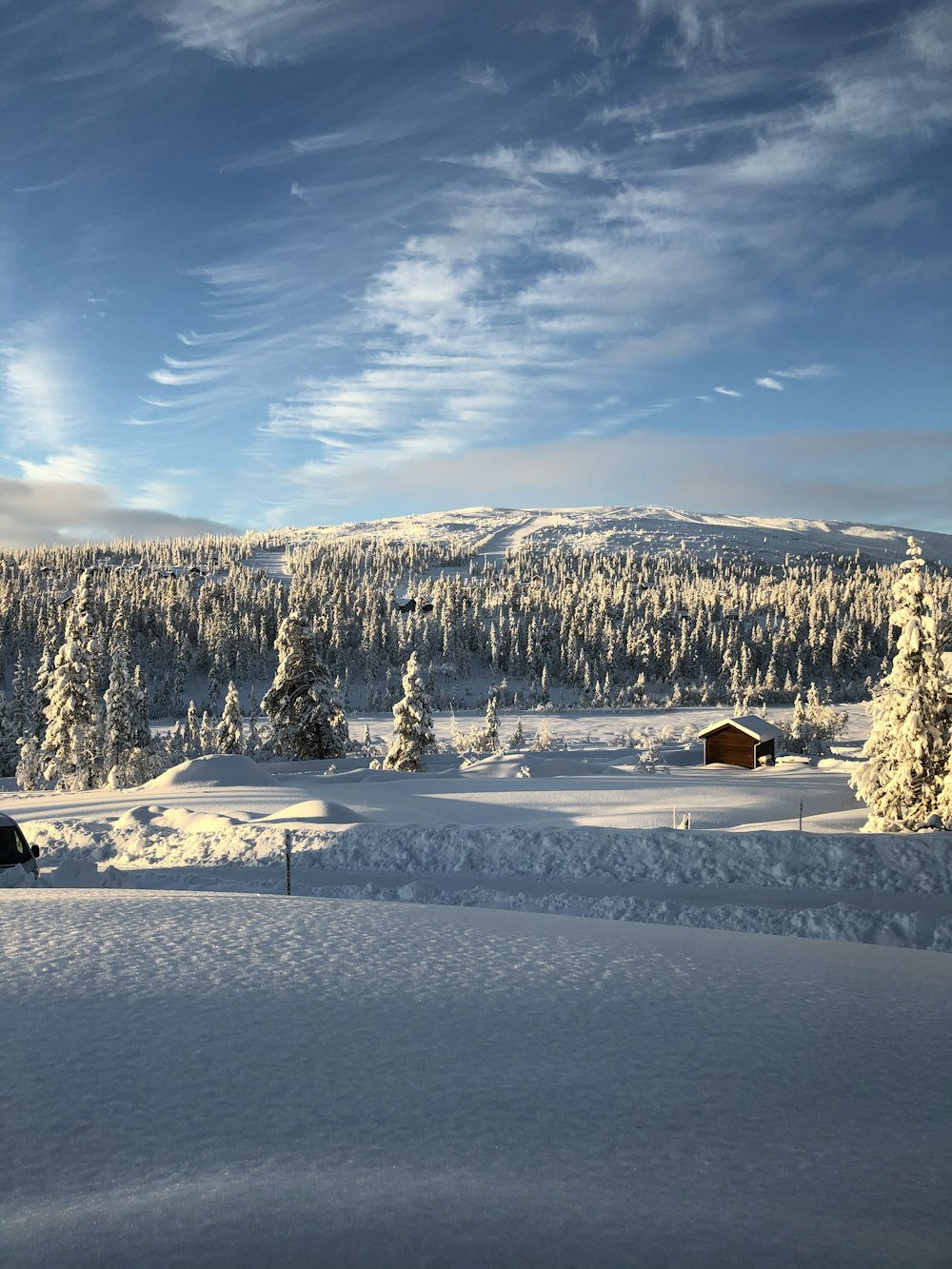 snow covered field and trees under blue sky during daytime