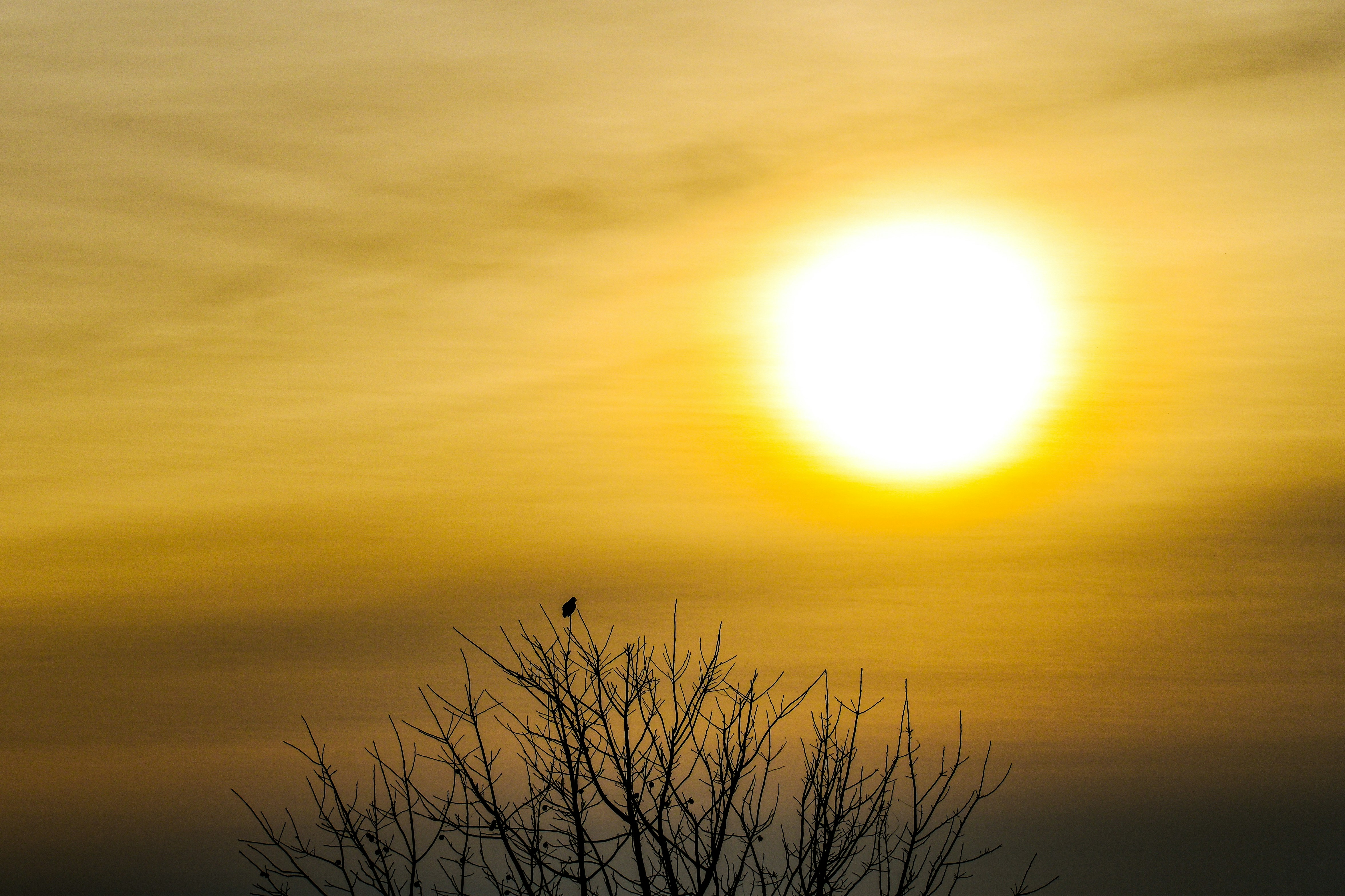 Photo by elisastonephotography