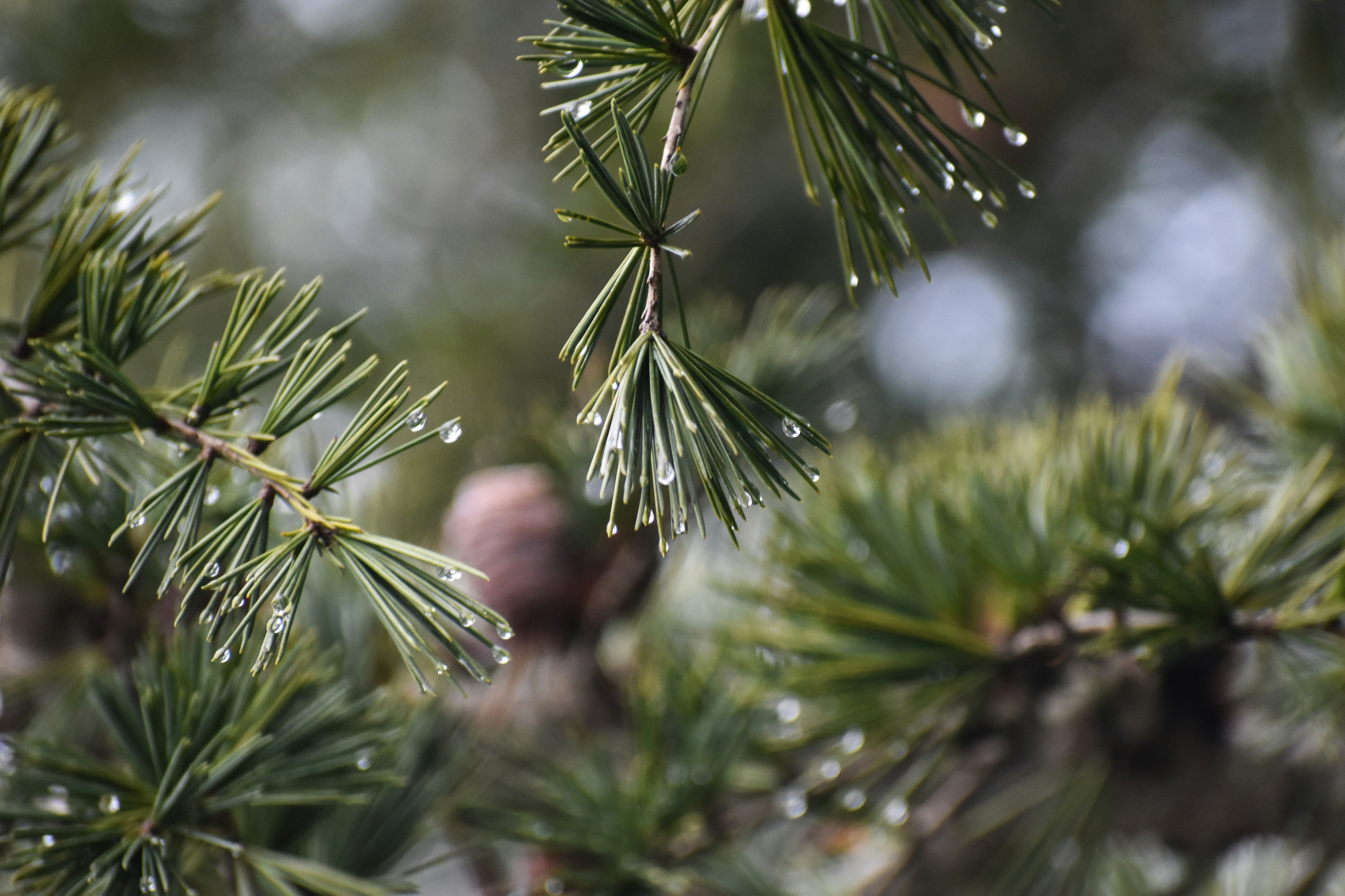 Photo by elisastonephotography