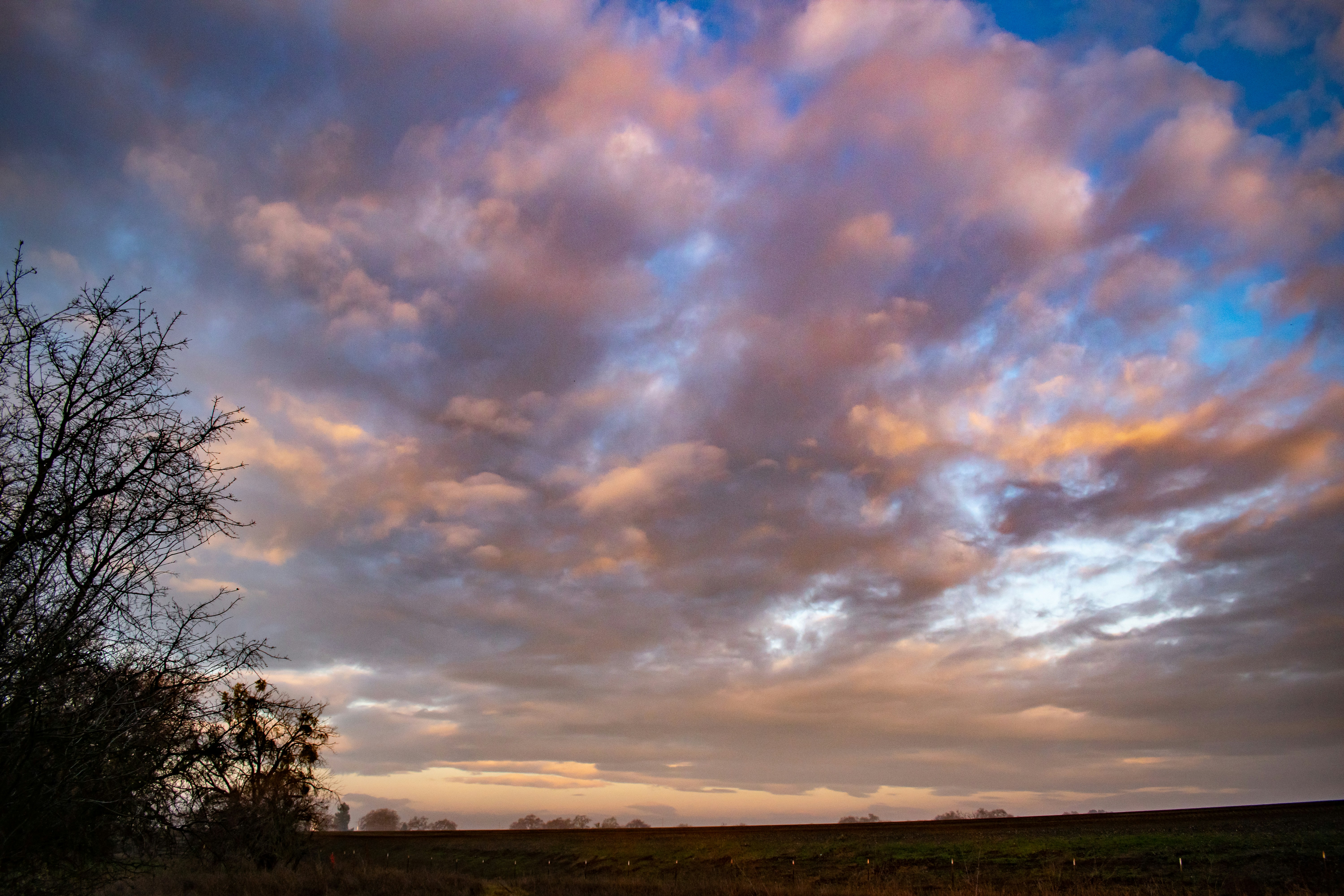 Photo by elisastonephotography