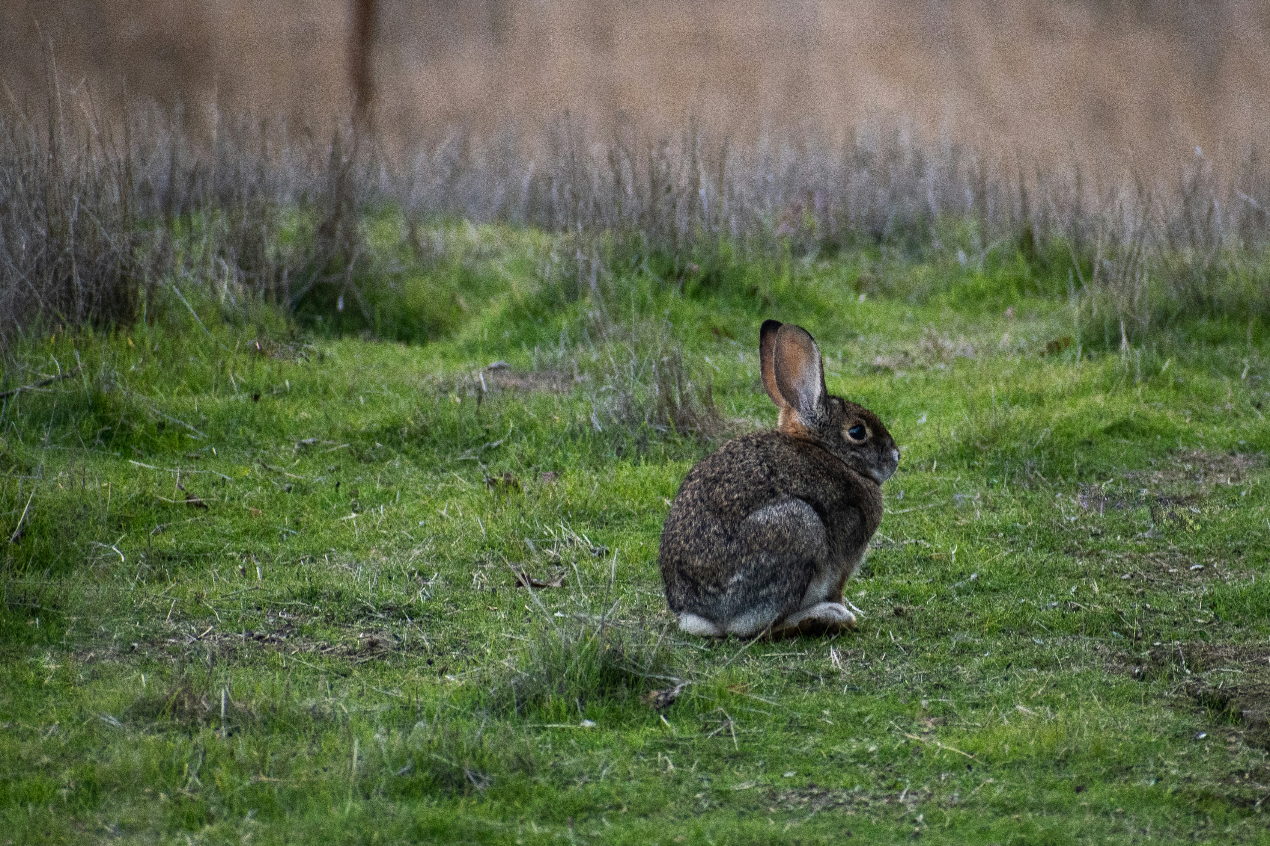 Photo by elisastonephotography