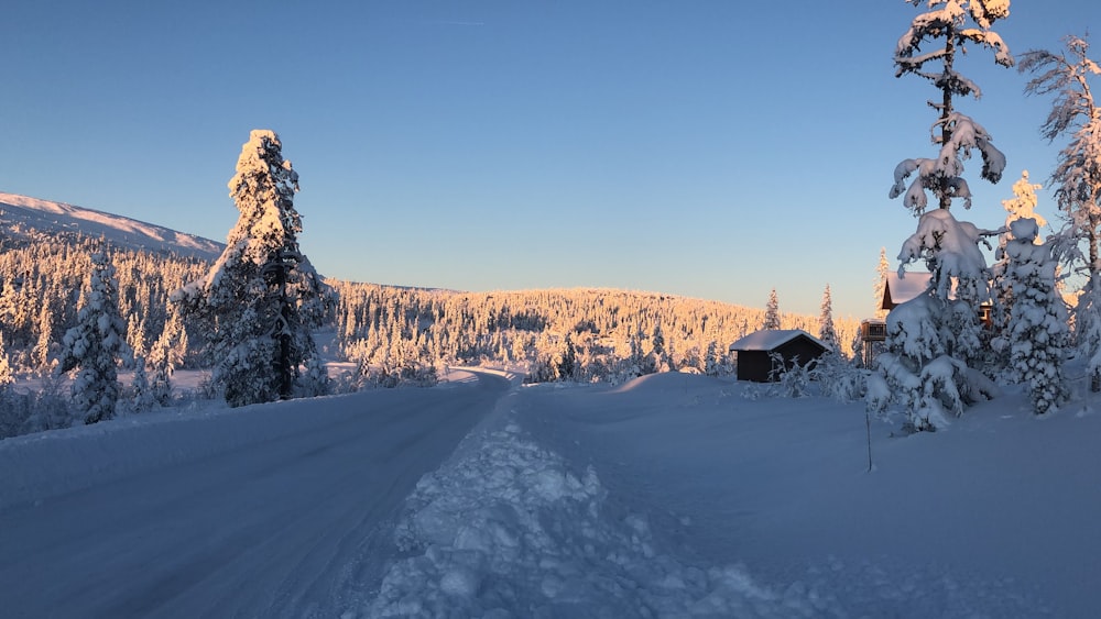 brown house on snow covered ground during daytime