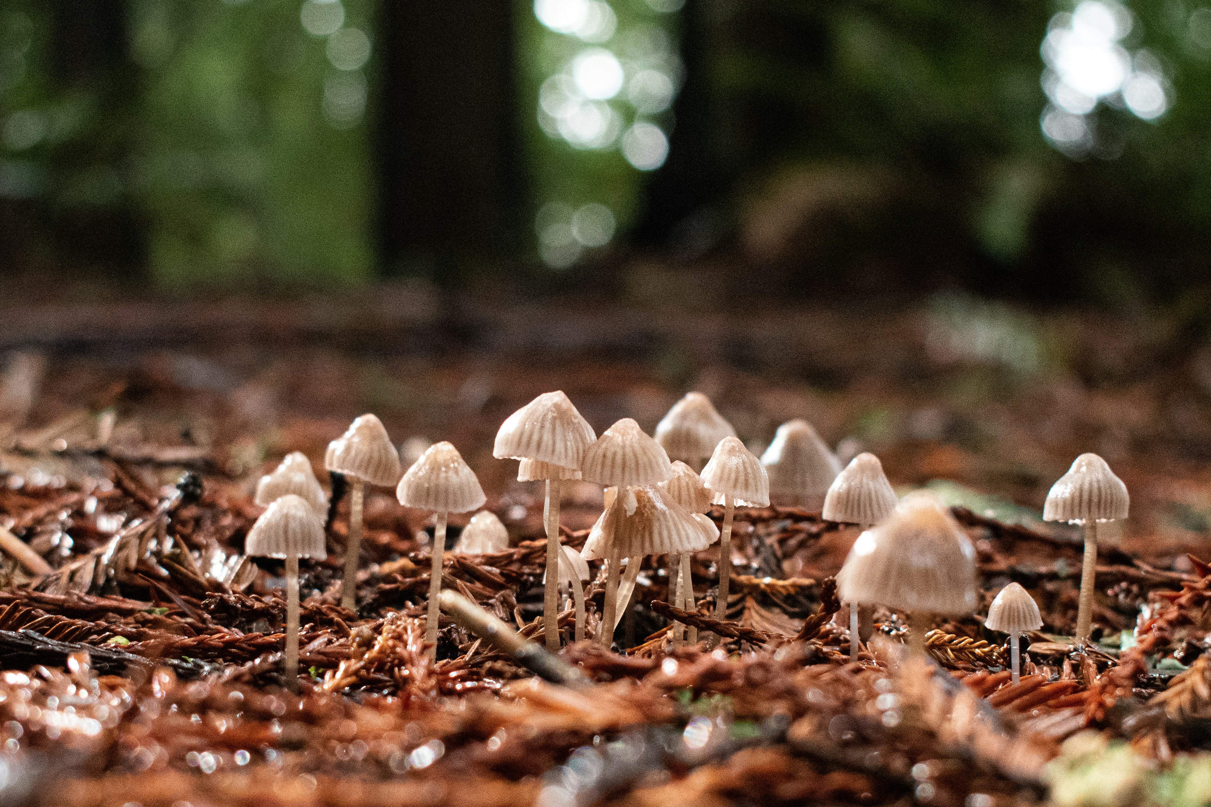 Photo by elisastonephotography