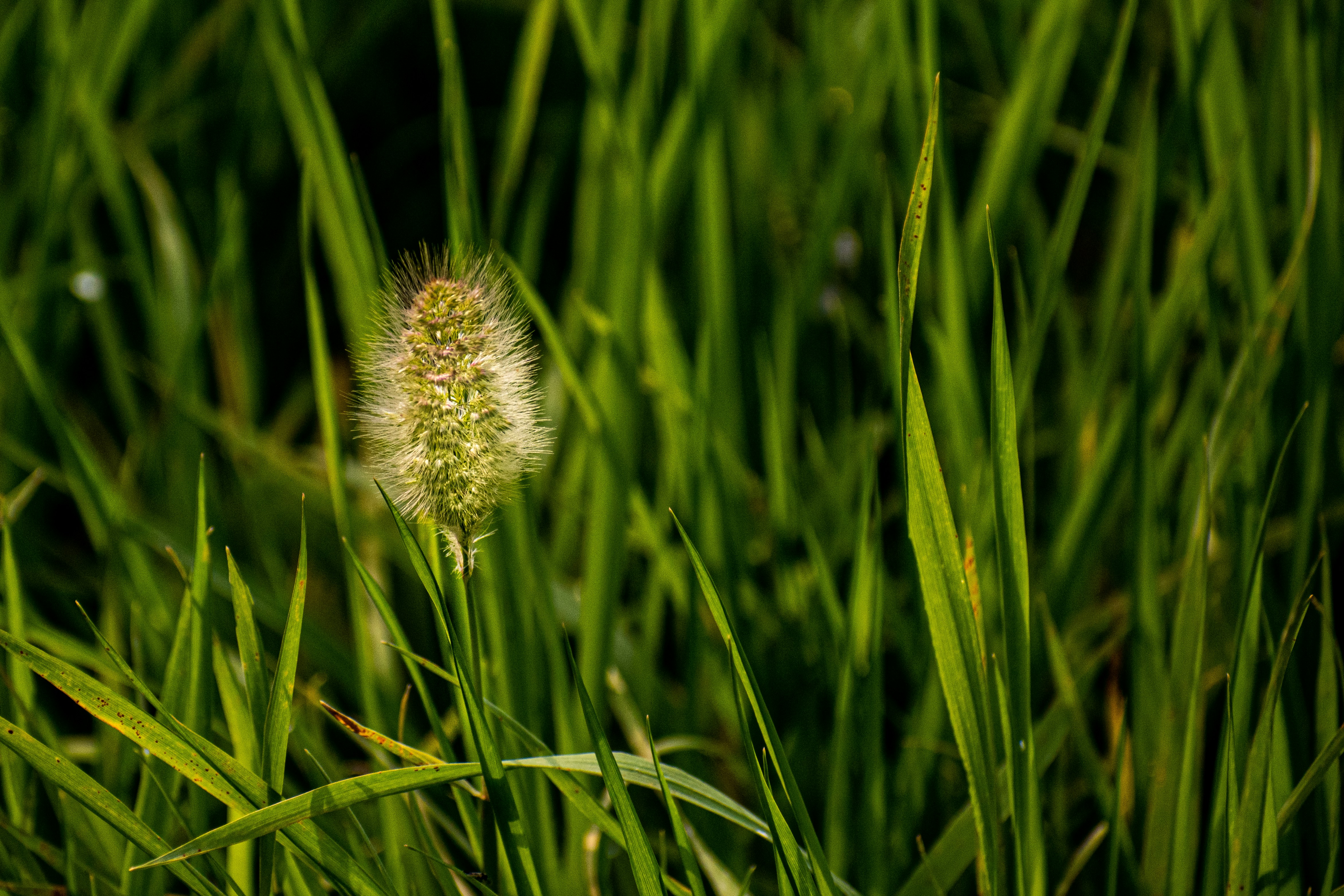 Photo by elisastonephotography