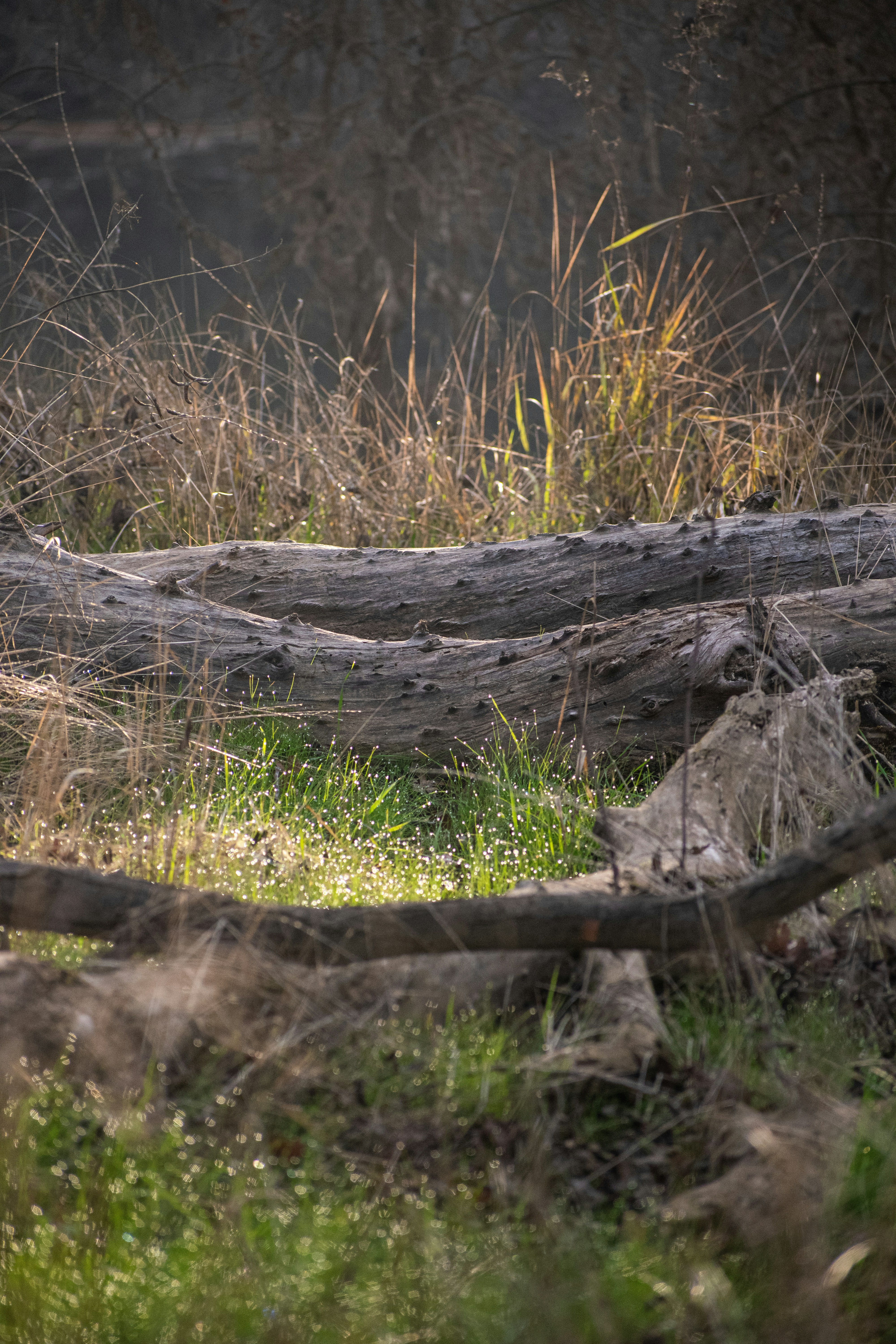 Photo by elisastonephotography