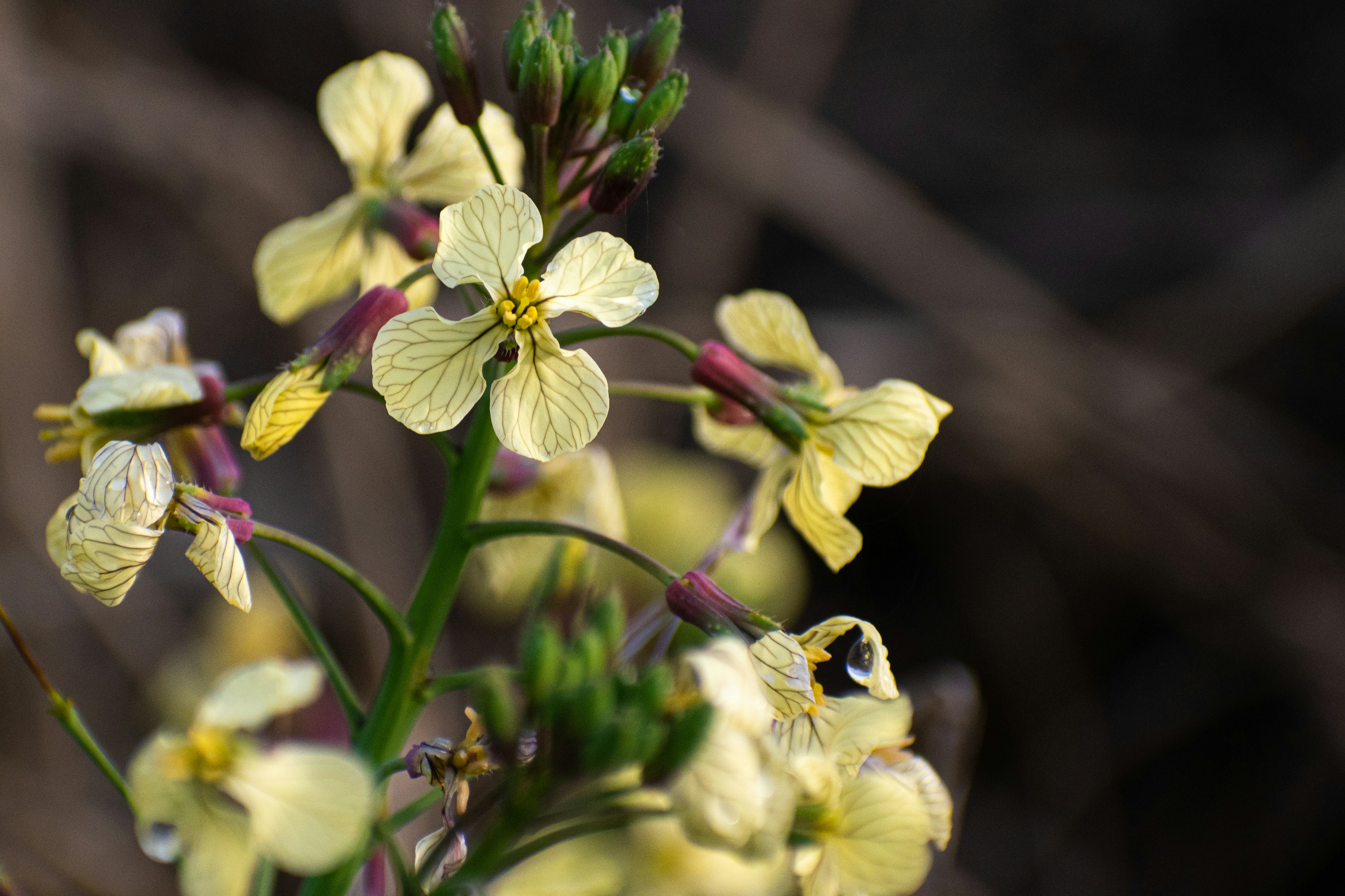 Photo by elisastonephotography