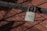 A rusted padlock branded 'Sargent' hangs on a wire fence, casting shadows over the geometric pattern of the metal grid.