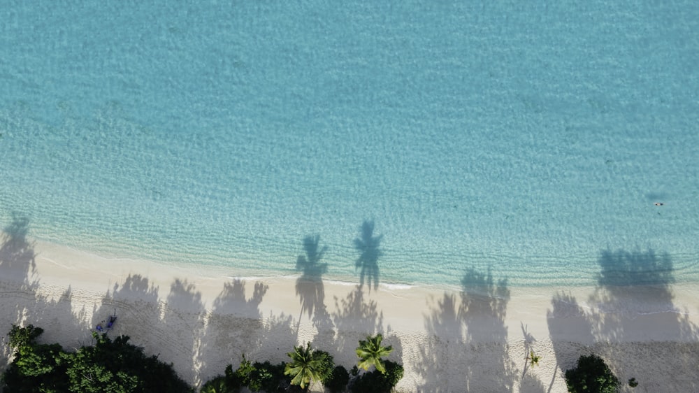 Vue aérienne de la plage pendant la journée