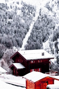 A wooden chalet covered in snow is set against a backdrop of snow-dusted pine trees on a mountainside. The building has a steep, snow-laden roof and two chimneys. The surrounding trees are densely packed, creating a wintry forest atmosphere.
