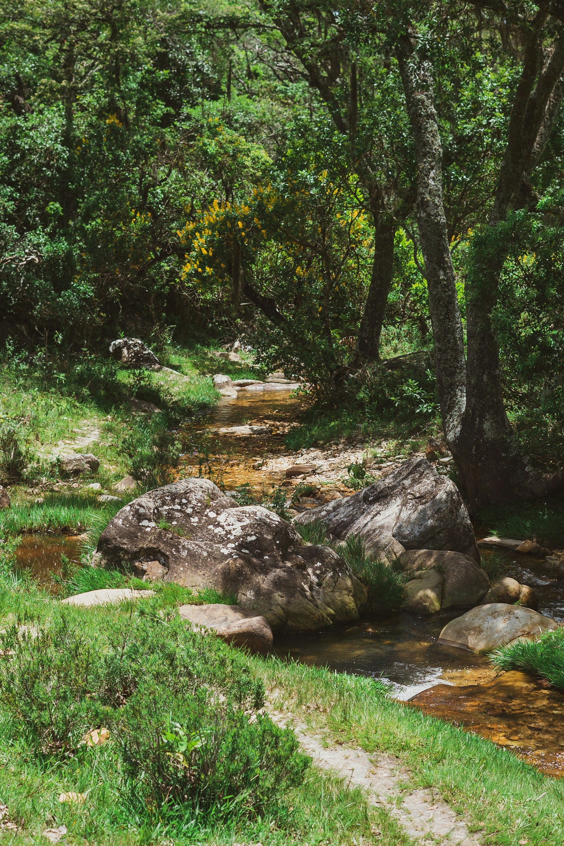 Photo by heronrossato