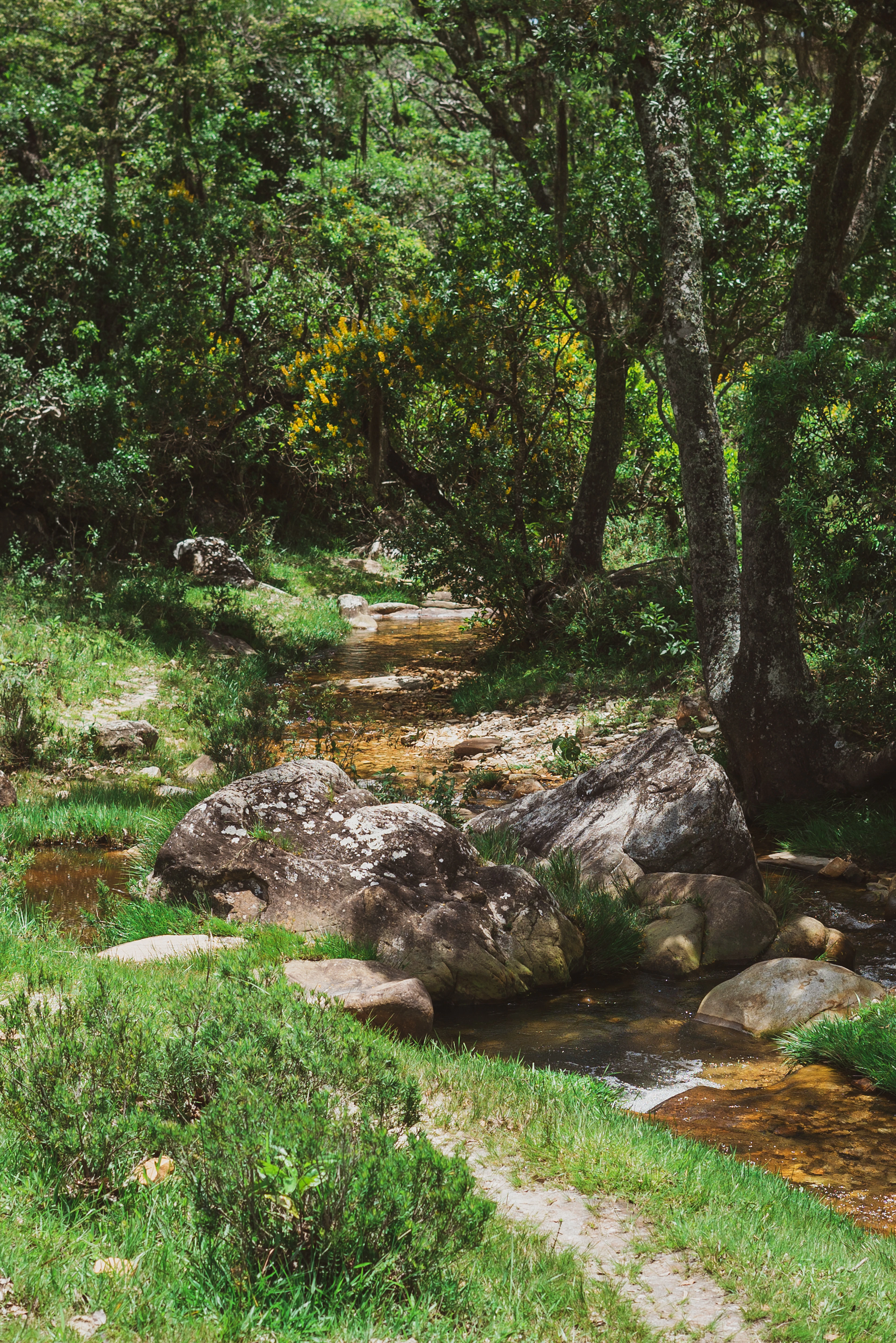 Green space and water in Oaxaca