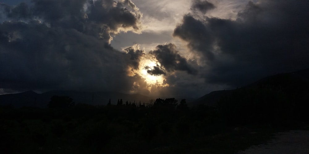 silhouette of trees under cloudy sky during daytime