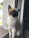 A happy cat wearing a colorful handmade collar with sparkling stones, sitting by a sunny window.
