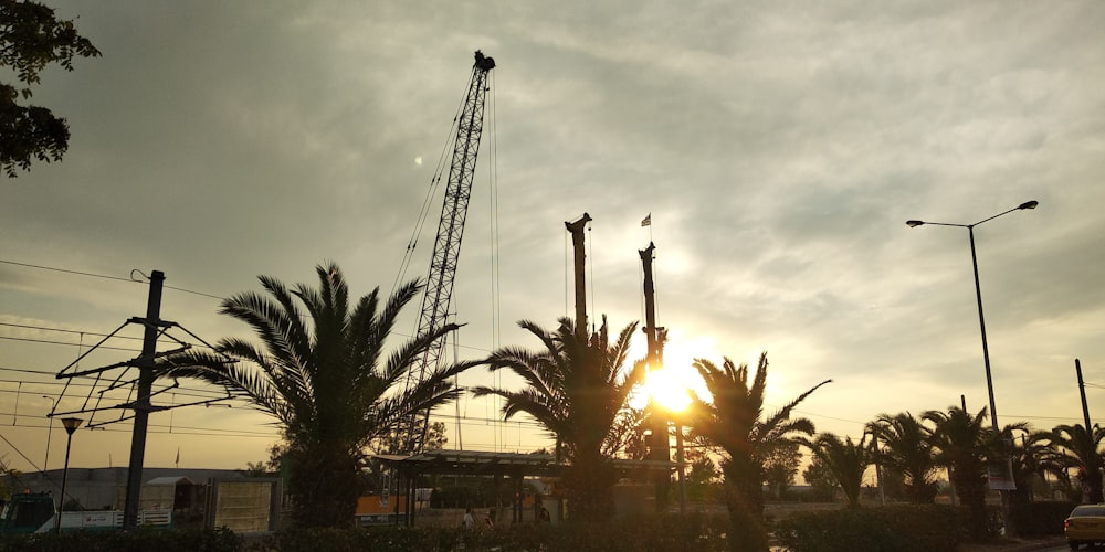 green palm trees near building during sunset