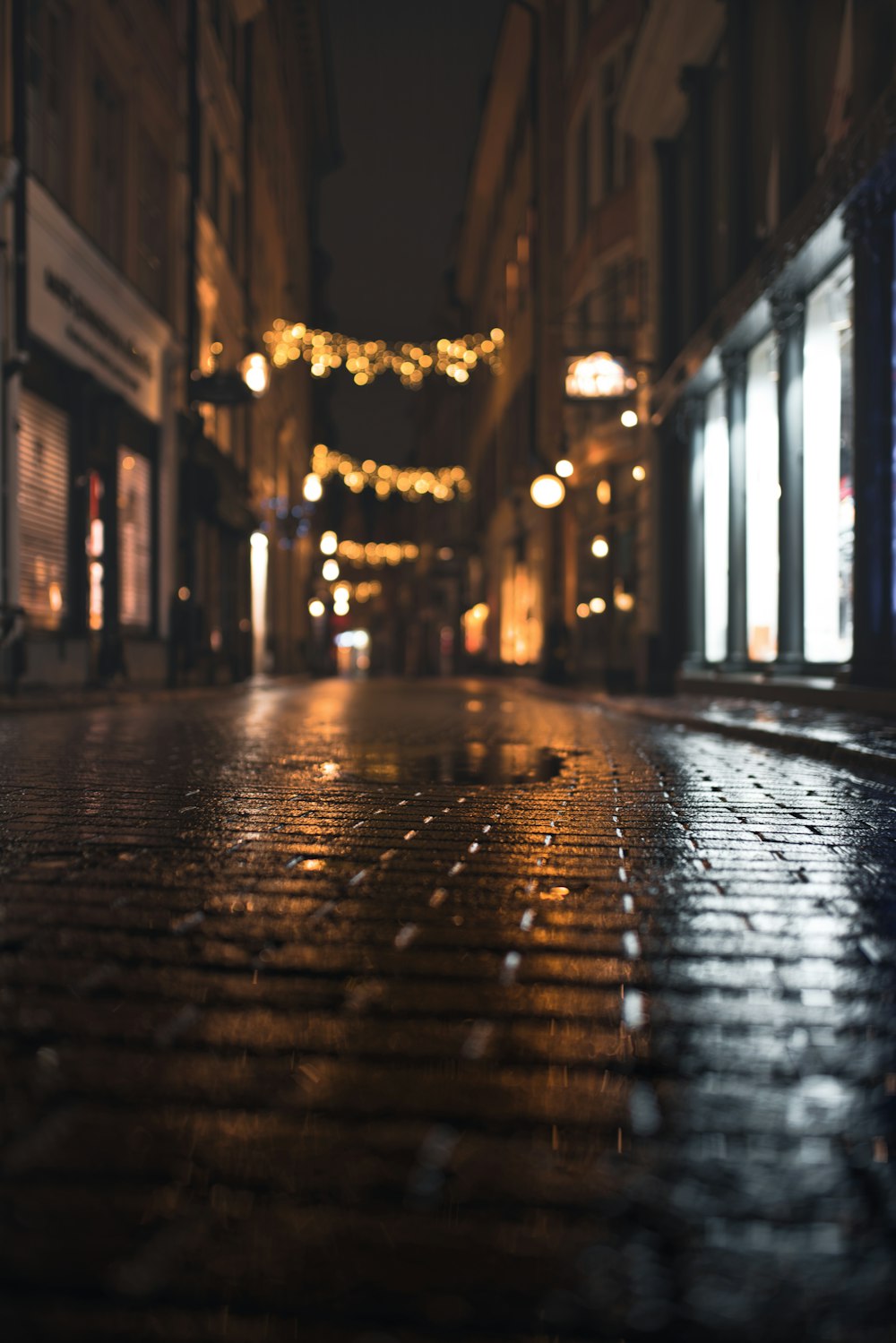 string lights on the street