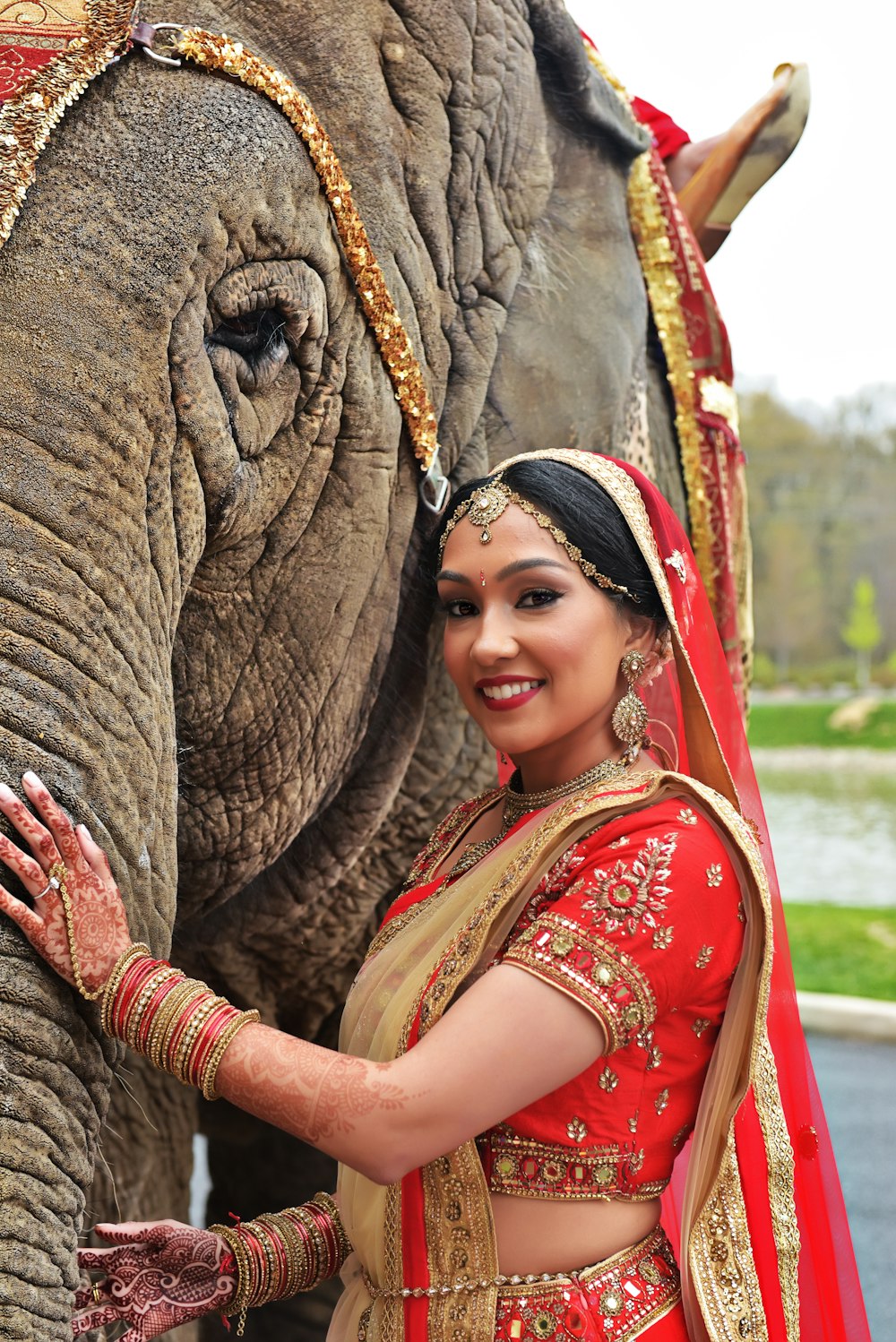 woman in red and brown floral dress hugging elephant