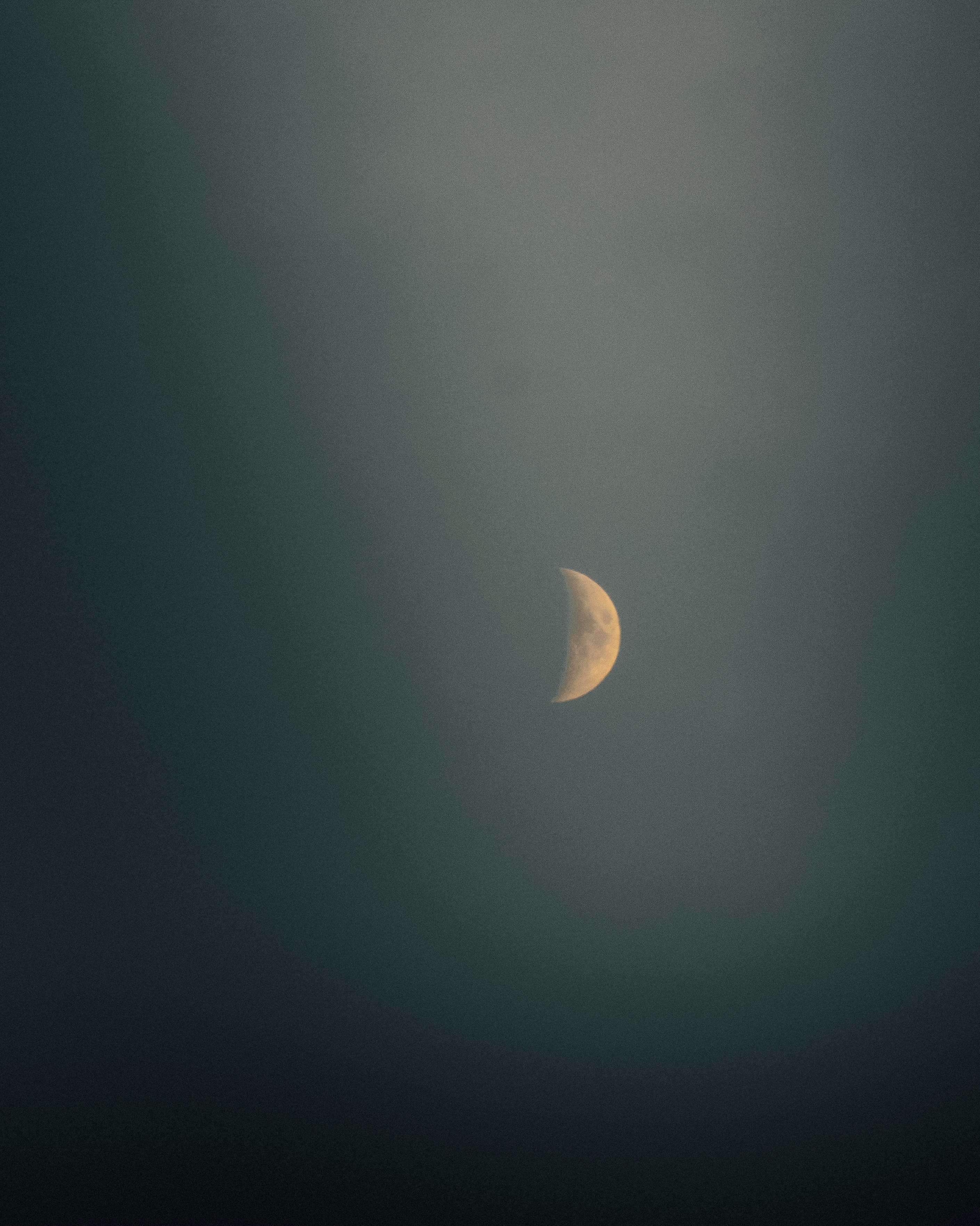Photo by wassimikkou1