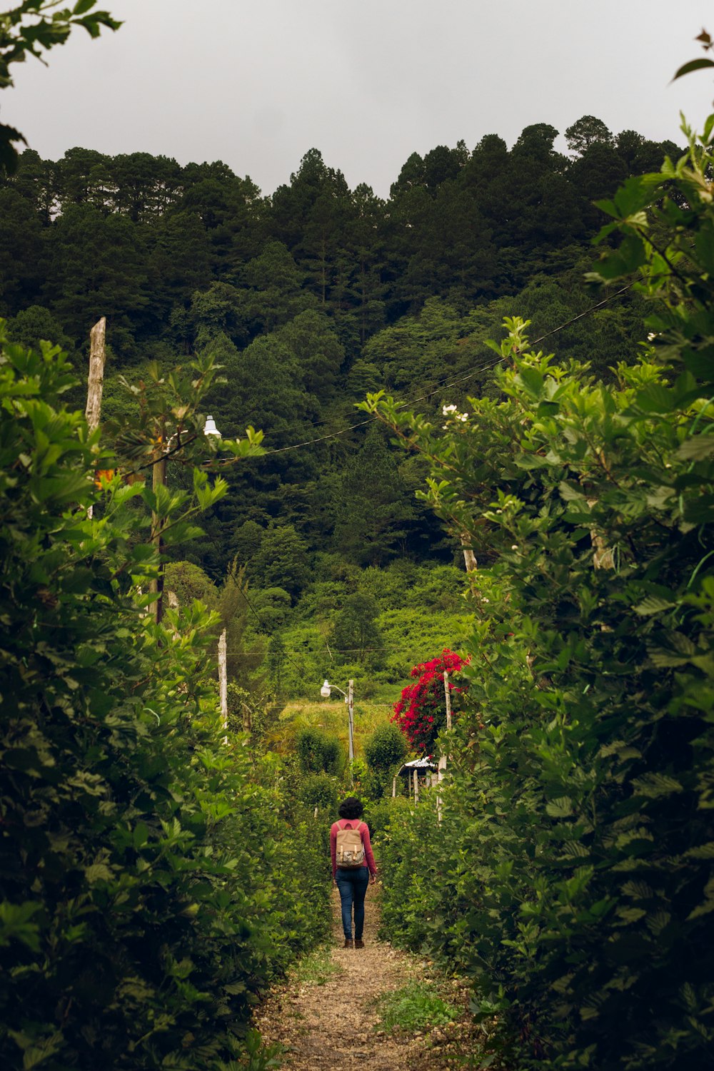 Frau in rotem Kleid tagsüber auf grünem Rasen