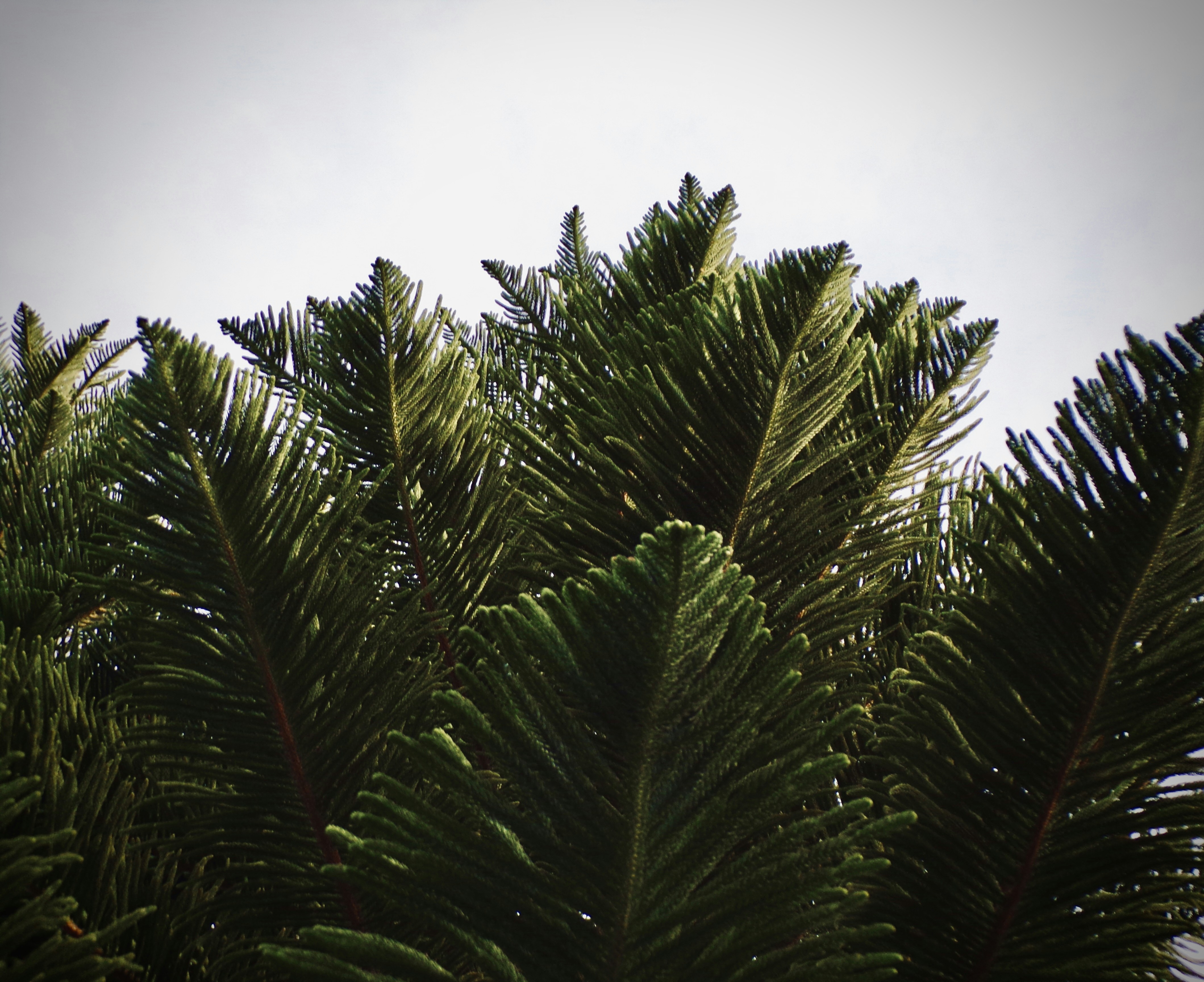 Photo by photography_yeti