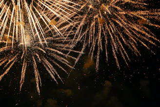 fireworks display during night time