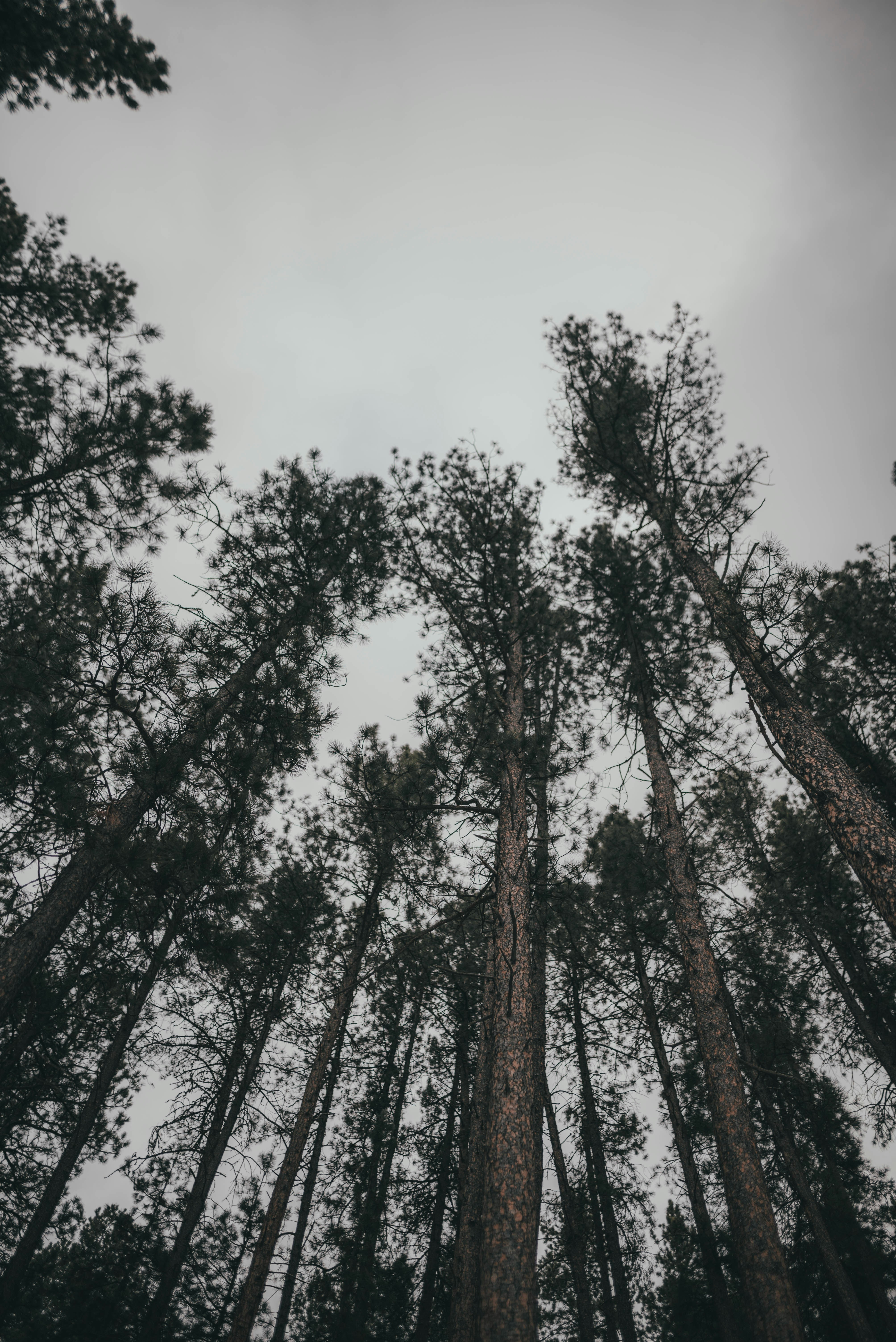 Photo by ninanaction