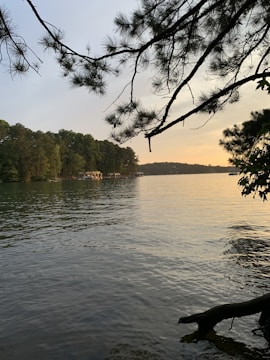 Sunset view over a serene lake with pine trees reflecting in the water.