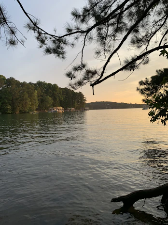 A serene lakeside view at sunset with soft sage green and warm beige tones.