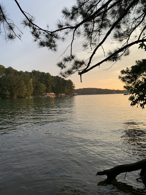 Serene view of the calm lake at sunset, framed by tall pine trees.