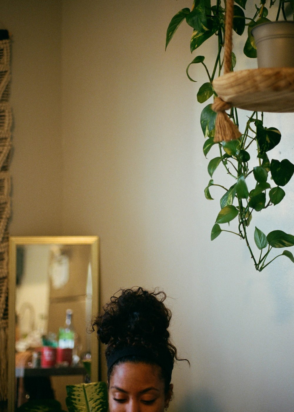 green plant on white wall