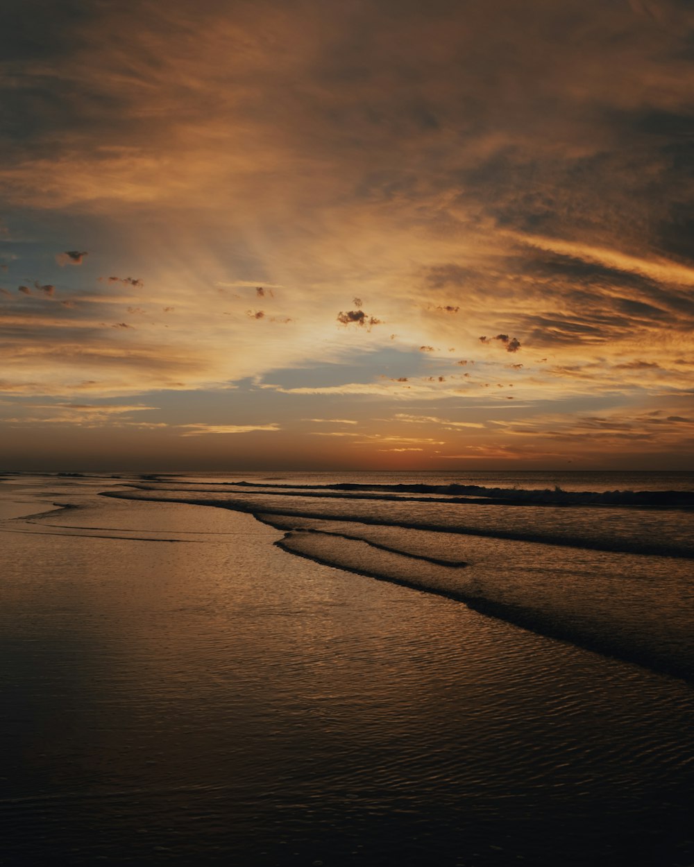 birds flying over the sea during sunset