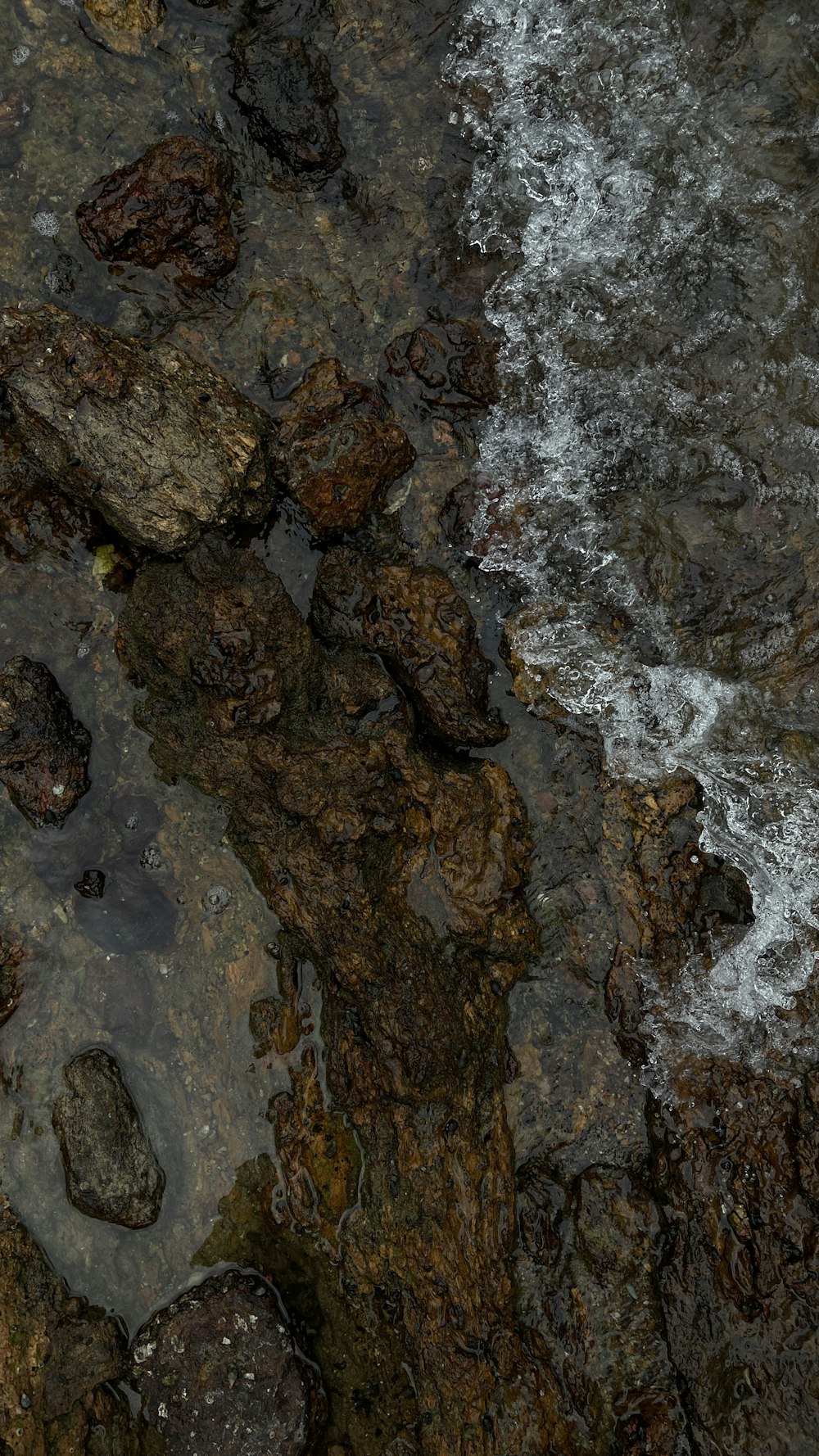 brown and black rock formation