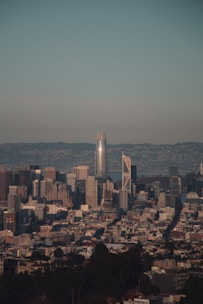 A consultant reviewing property plans with a city skyline in the background.