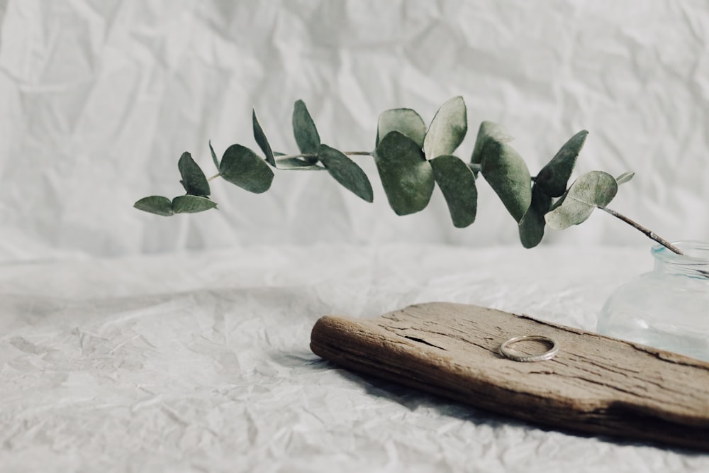 green leaves on brown wooden chopping board