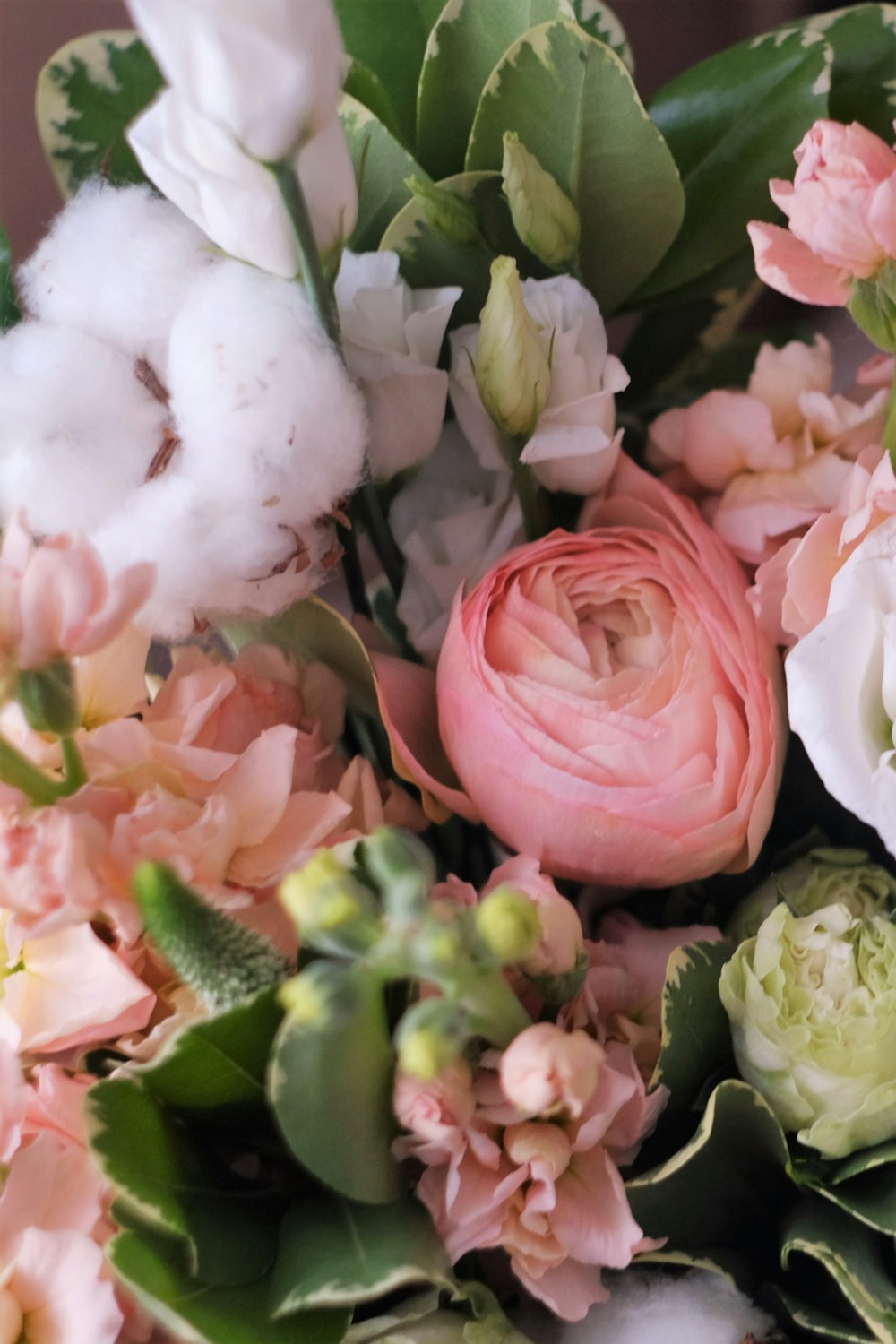 fiori rosa e bianchi con foglie verdi