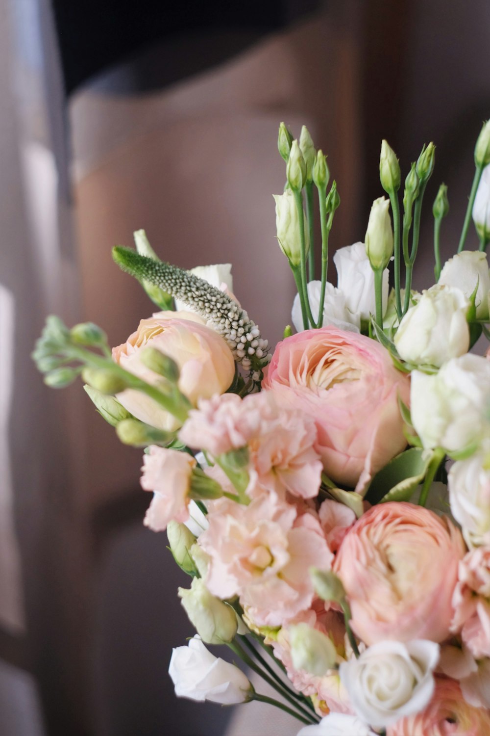 pink and white roses in bloom during daytime