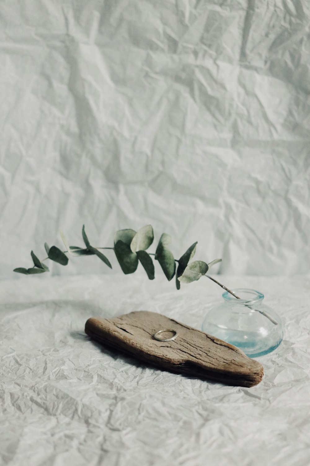 green leaves on blue glass bowl