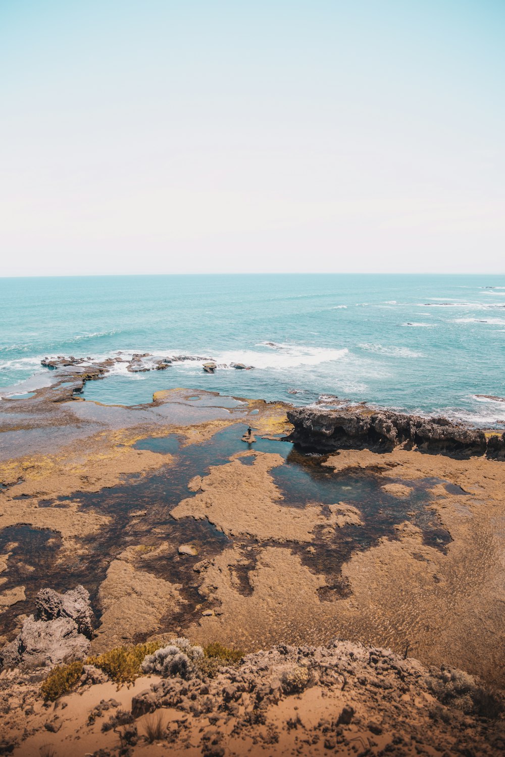 brown rocky shore during daytime