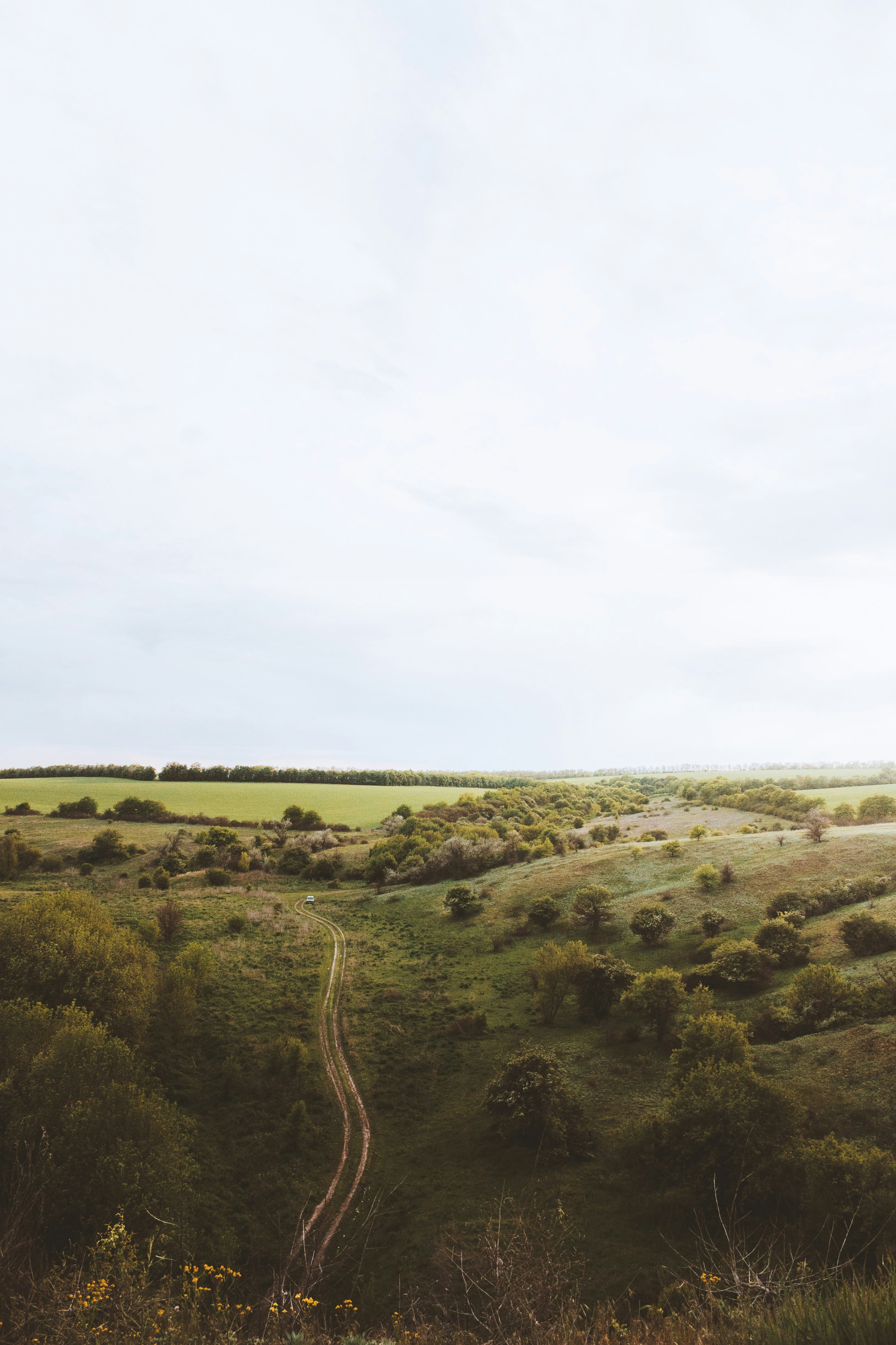 Photo by animgraphlab