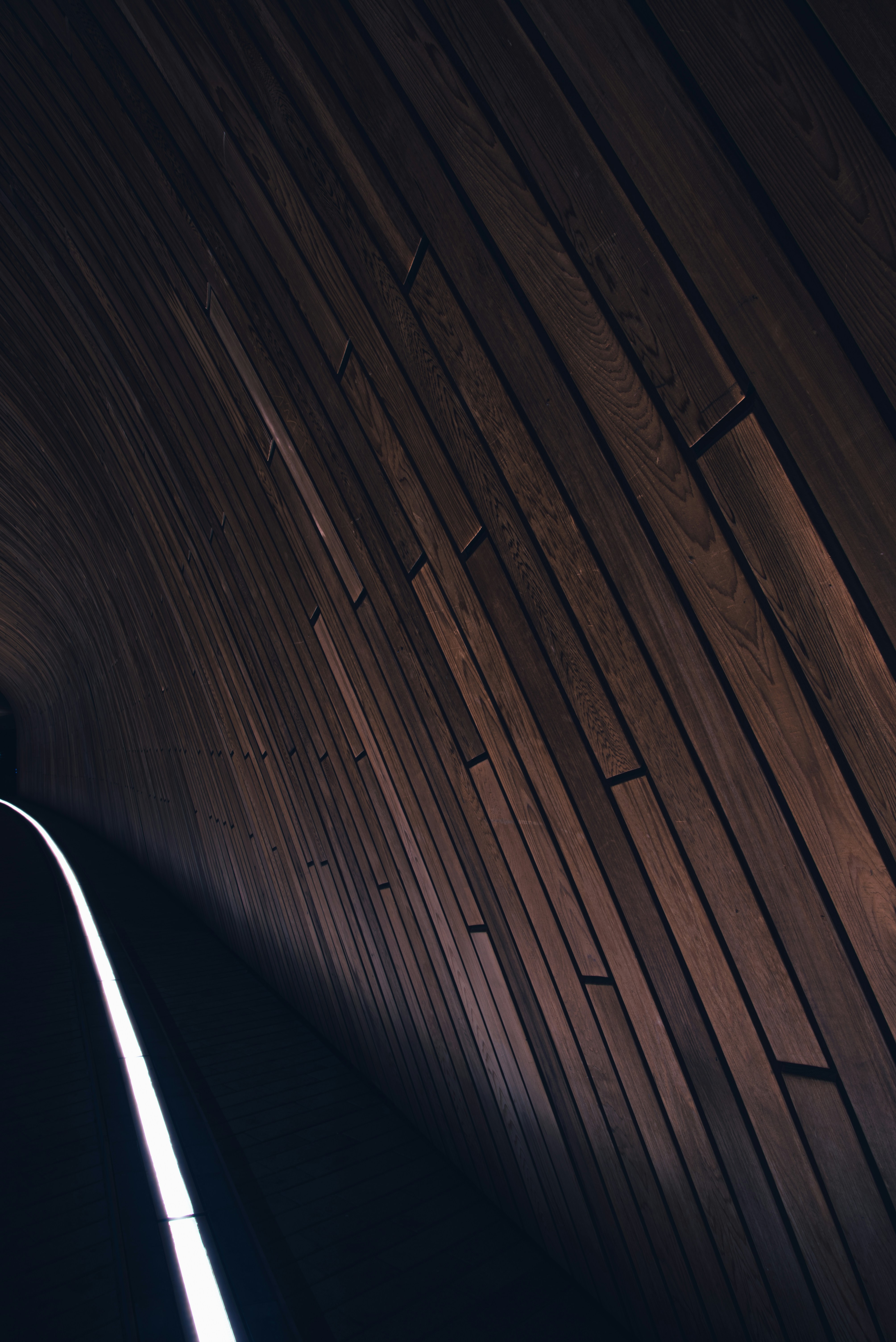 Photo by ryunosuke_kikuno