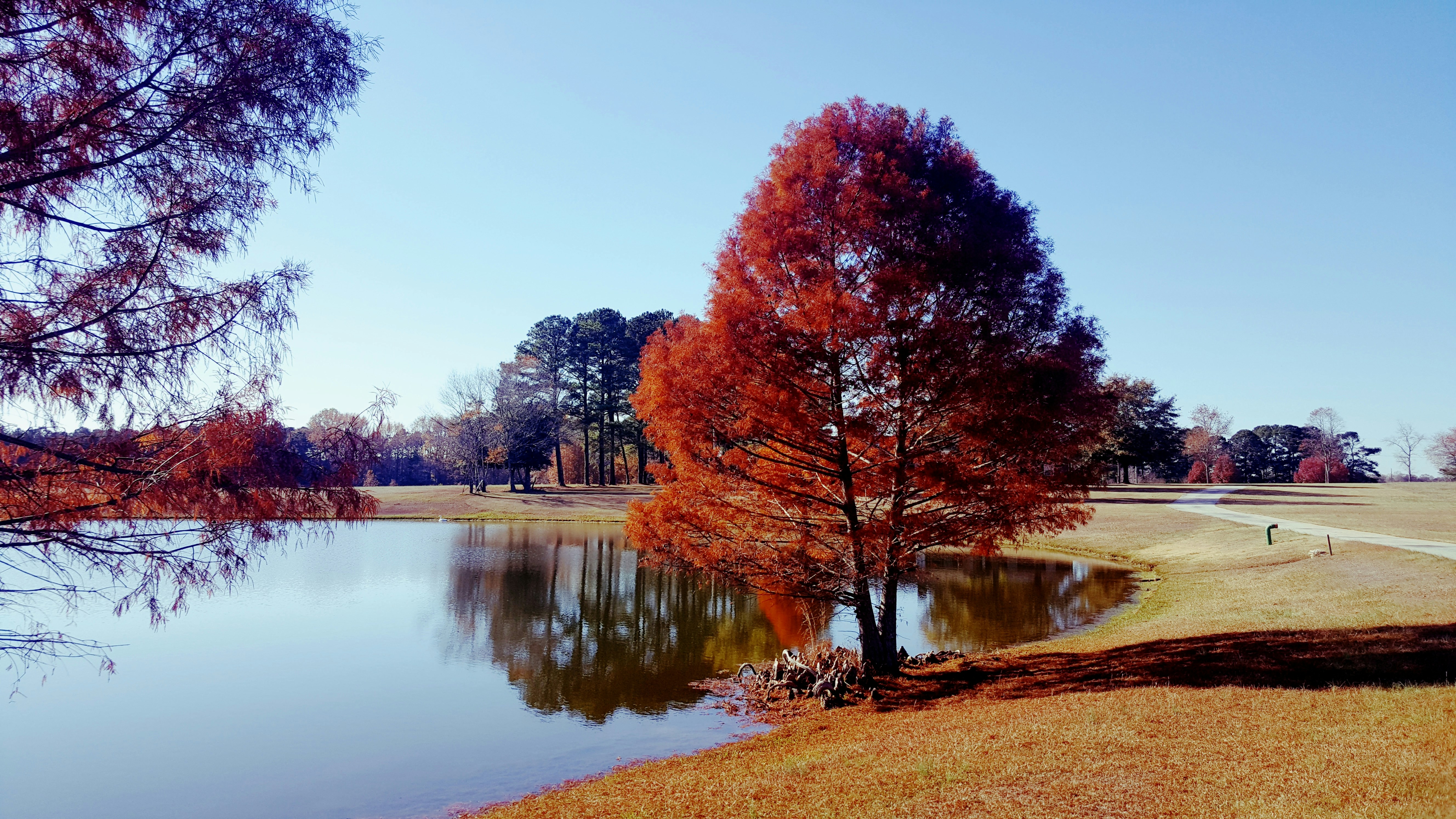 Photo by sharonpanda28