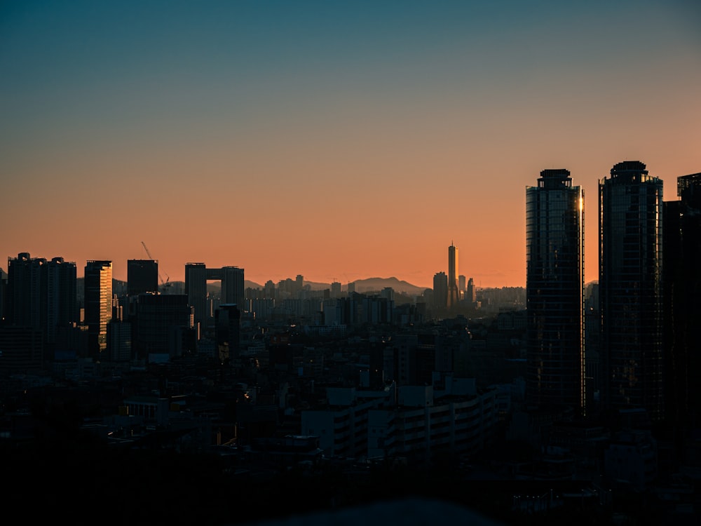 city skyline during night time