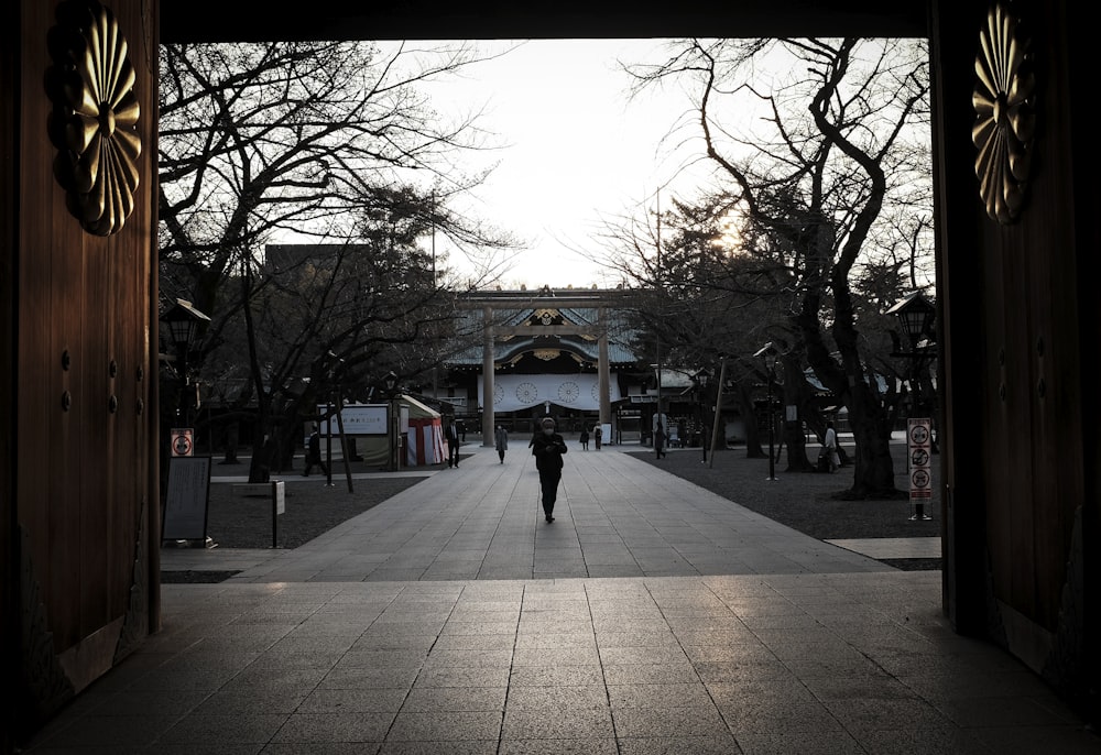 people walking on sidewalk near bare trees during daytime