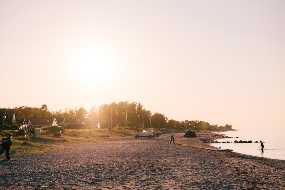 people on beach during daytime