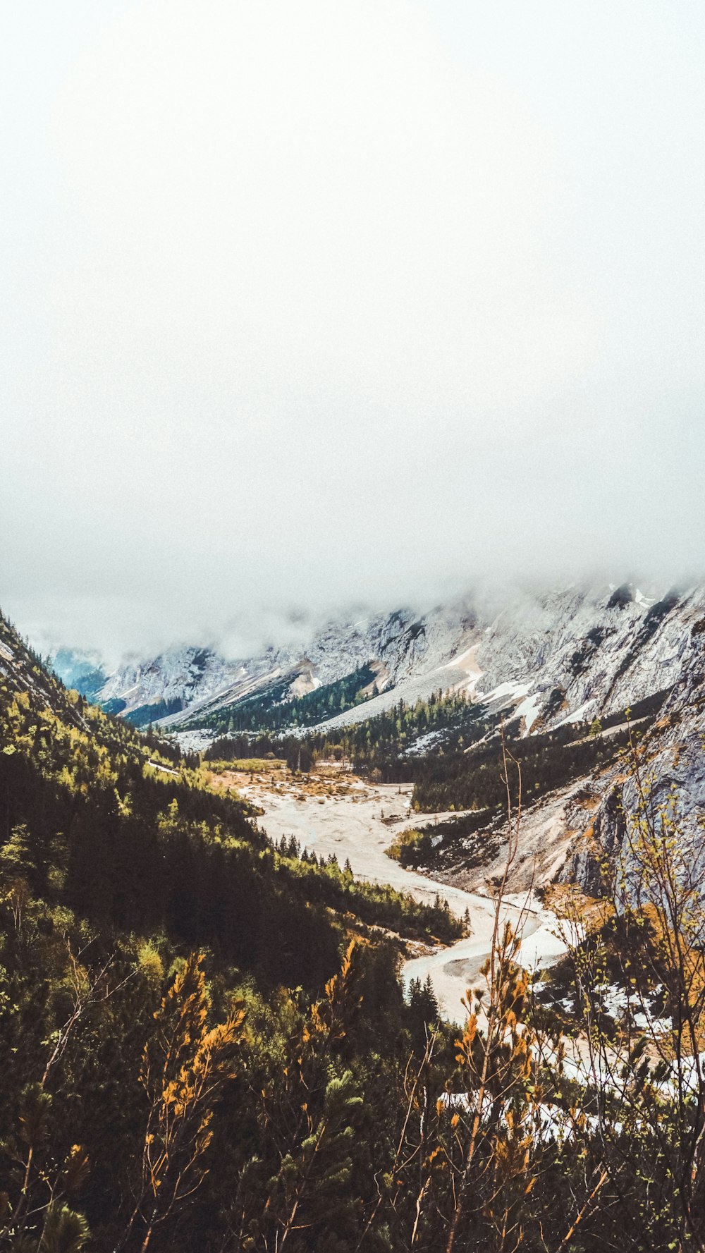 green trees on mountain under white sky during daytime