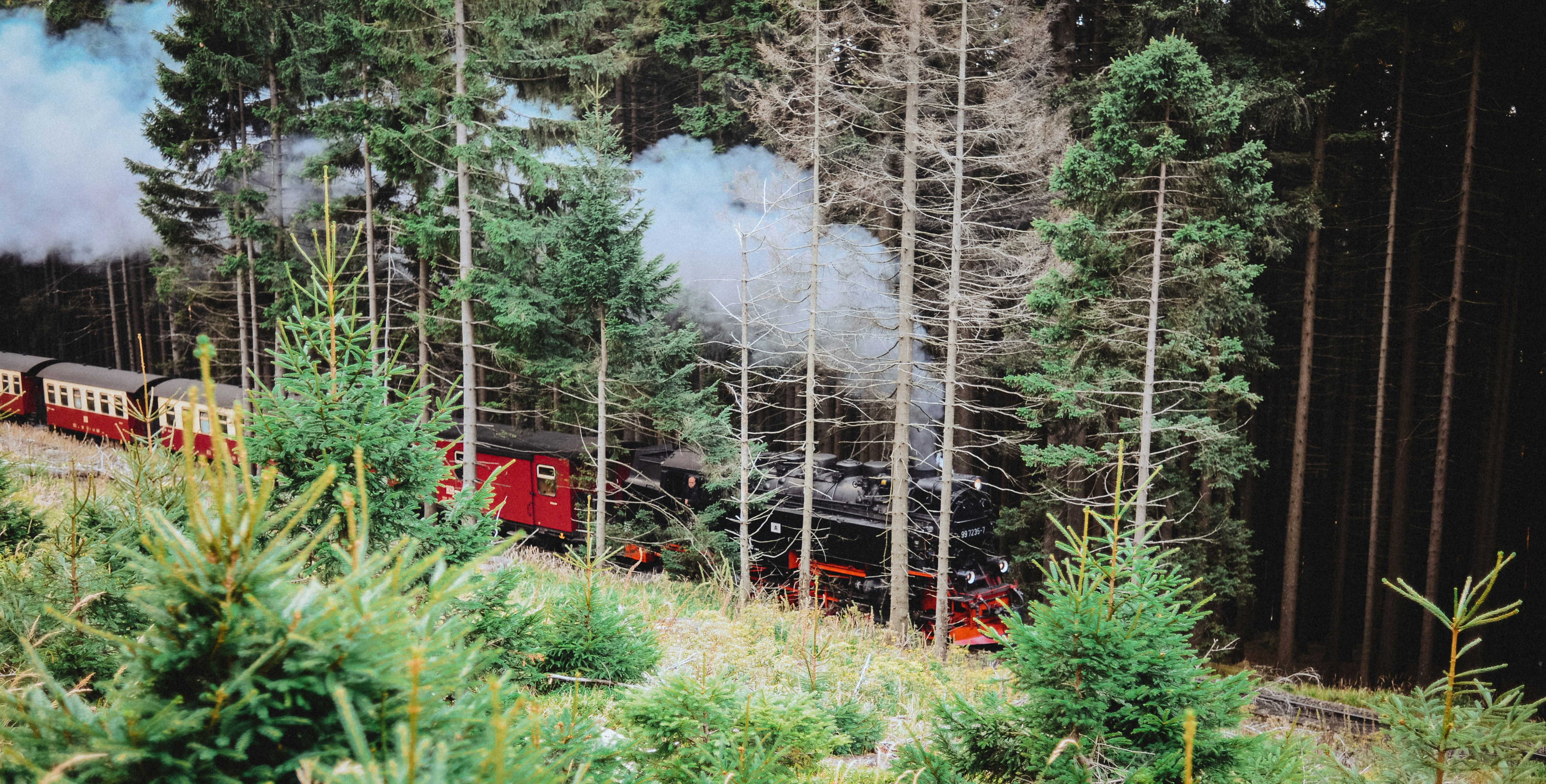 roter Zug auf der Schiene in der Nähe grüner Bäume tagsüber