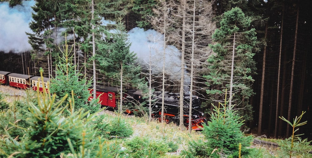 red train on rail near green trees during daytime