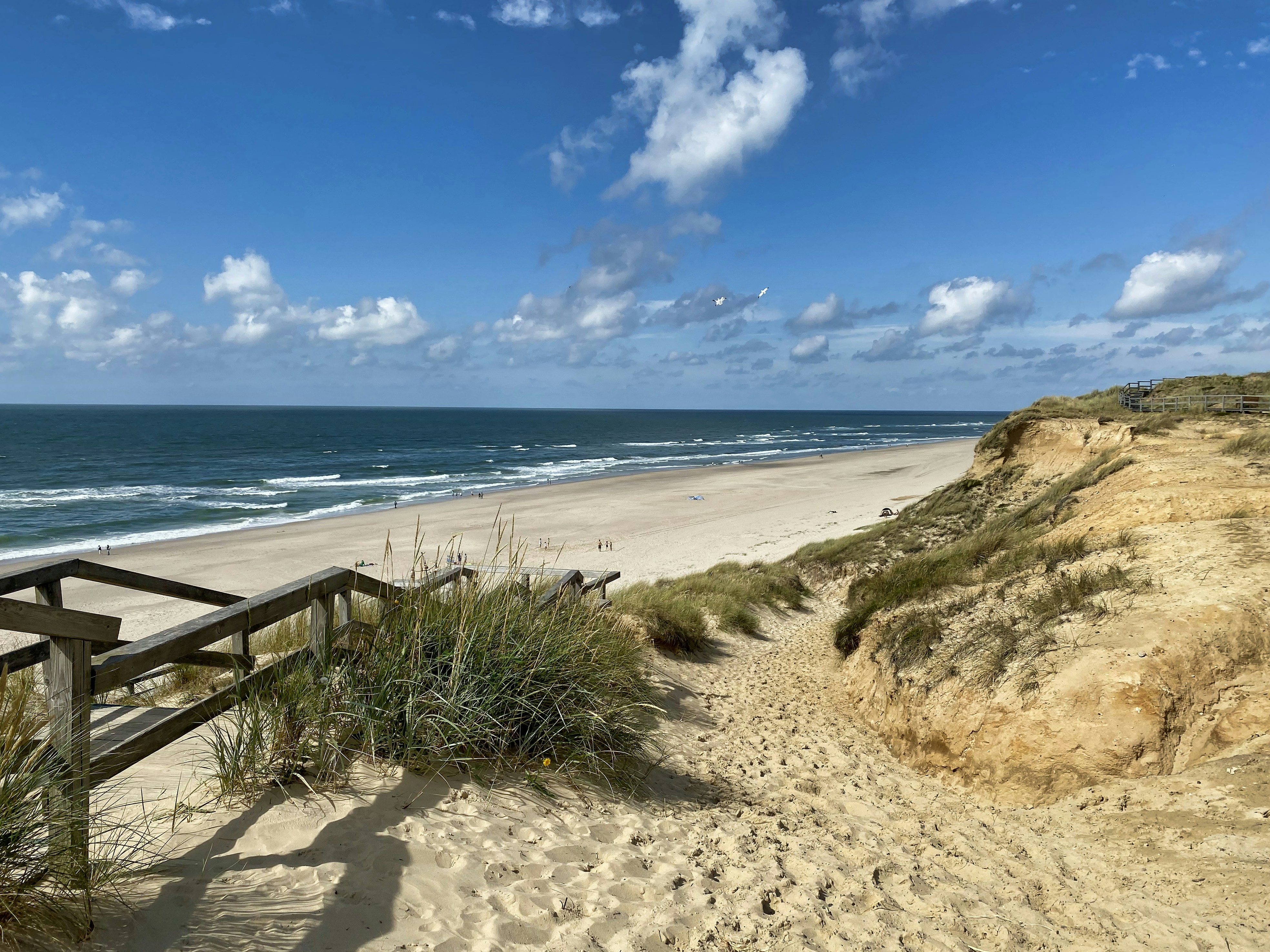 brown wooden fence on beach during daytime