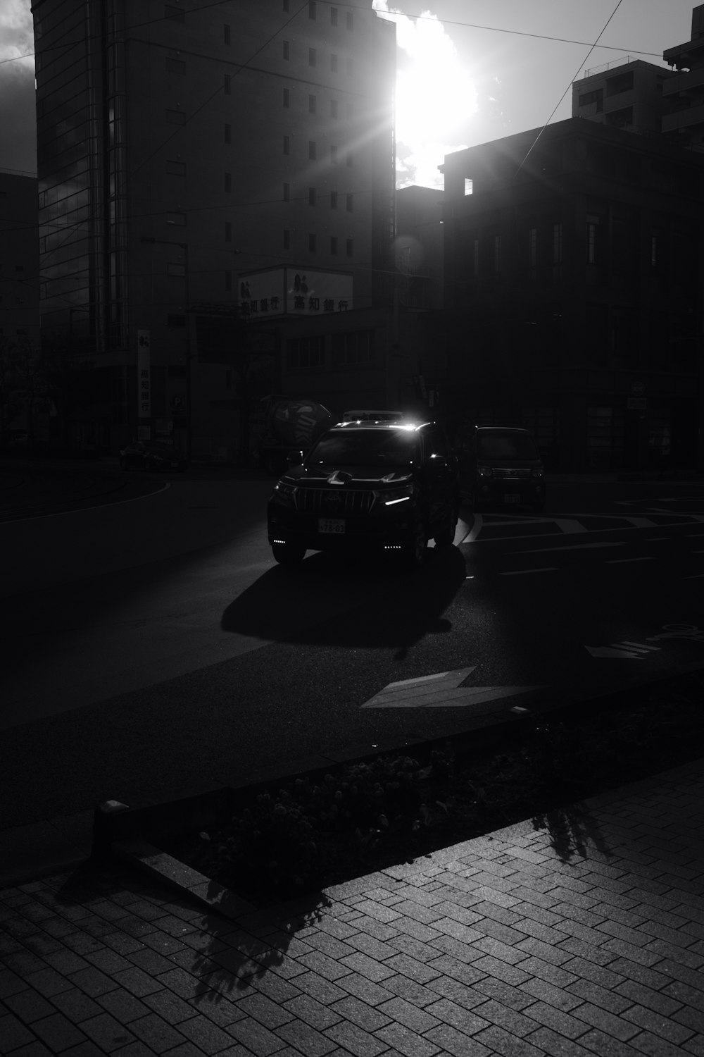 Schwarzes auto nachts auf einem feld mit sonnenblumen