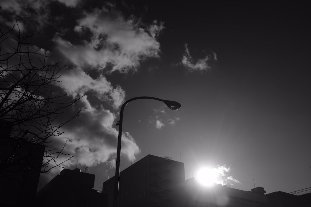 grayscale photo of street light