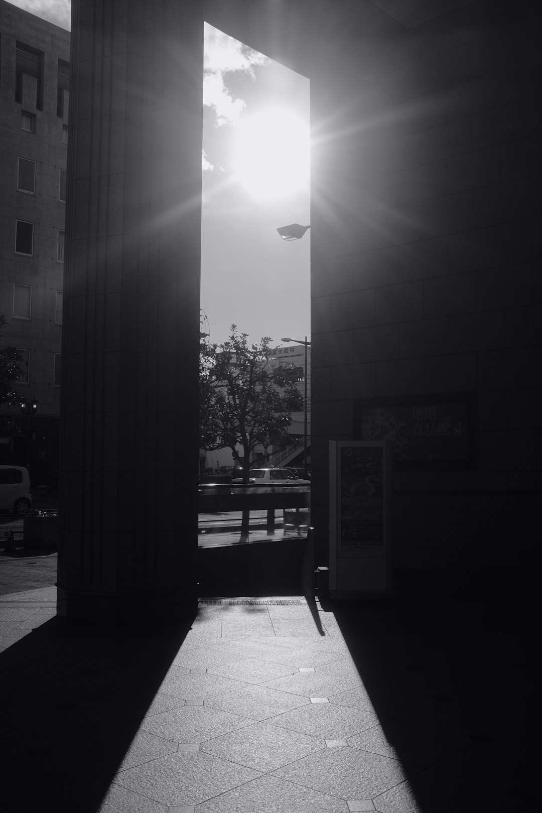 grayscale photo of trees near building